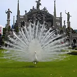 Primavera Casa vacanze Verbania