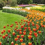 Primavera