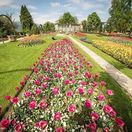 Prázdninový dům Primavera Verbania