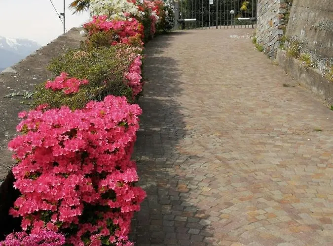 Primavera *