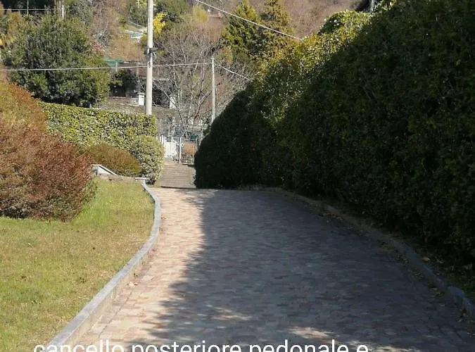 Primavera