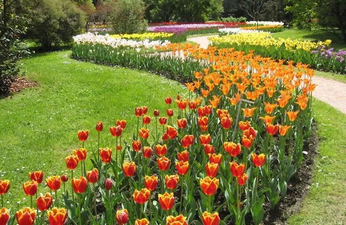 Primavera